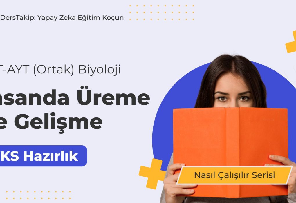 2025 YKS Çalışma Programı: İnsanda Üreme ve Gelişme Konusunda Etkili Stratejiler