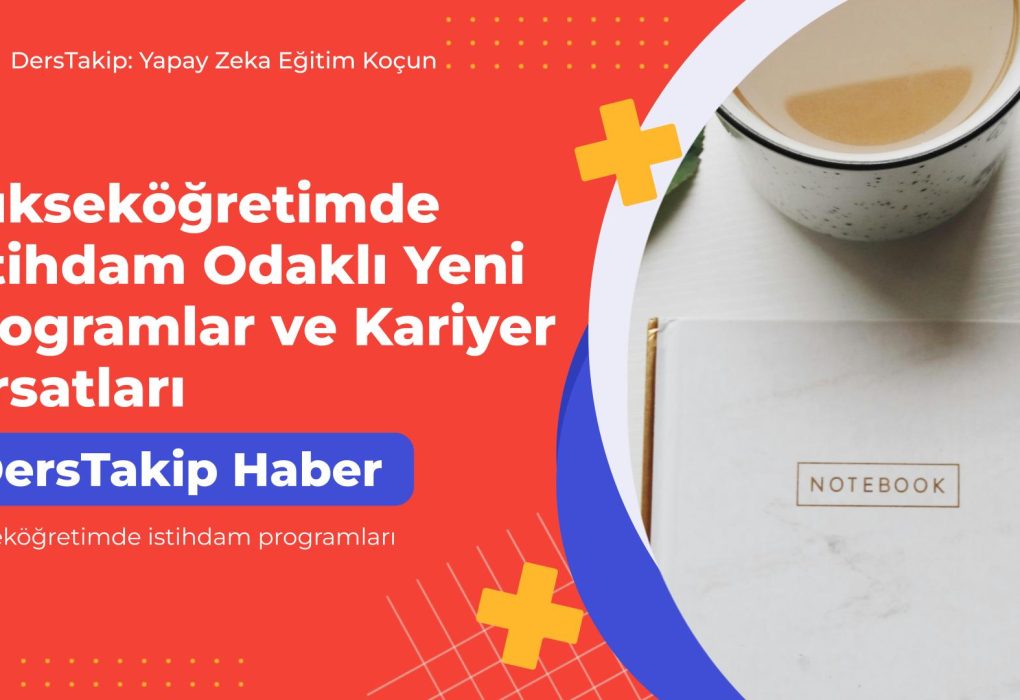 yükseköğretimde istihdam programları