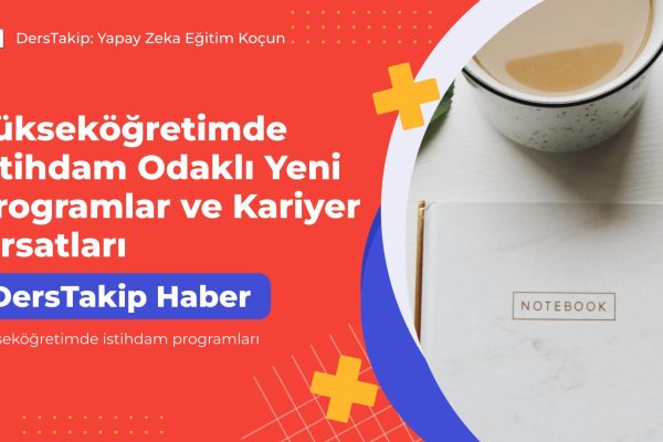 yükseköğretimde istihdam programları