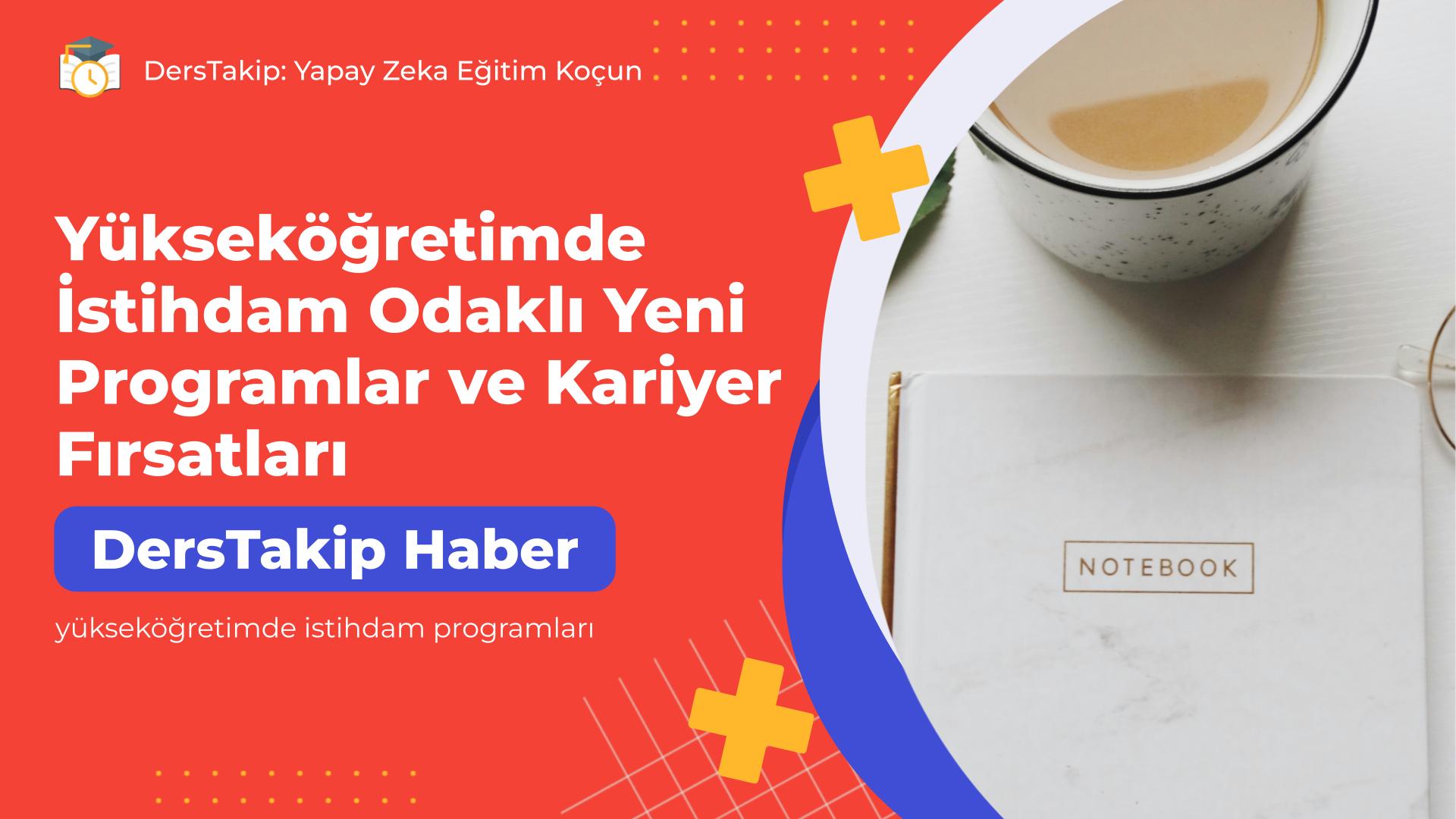 yükseköğretimde istihdam programları