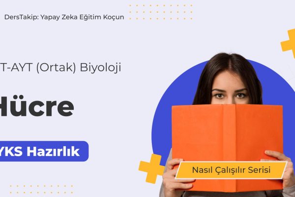 2025 YKS Çalışma Programı: Hücre Konusu İçin Etkili Çalışma Yöntemleri