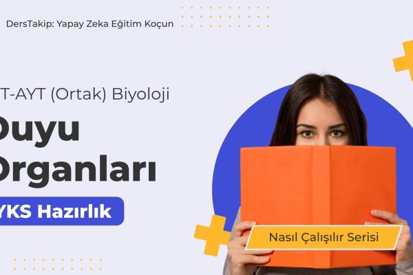 2025 YKS Çalışma Programı: Duyu Organları ile Sınav Başarınızı Artırın 2025 YKS Çalışma Programı: Duyu Organları ile Sınav Başarınızı Artırın