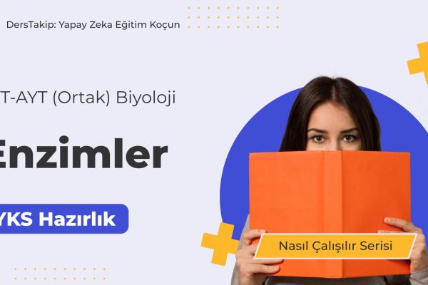 2025 YKS Çalışma Programı: Enzimler Konusunu Etkili Bir Şekilde Öğrenin