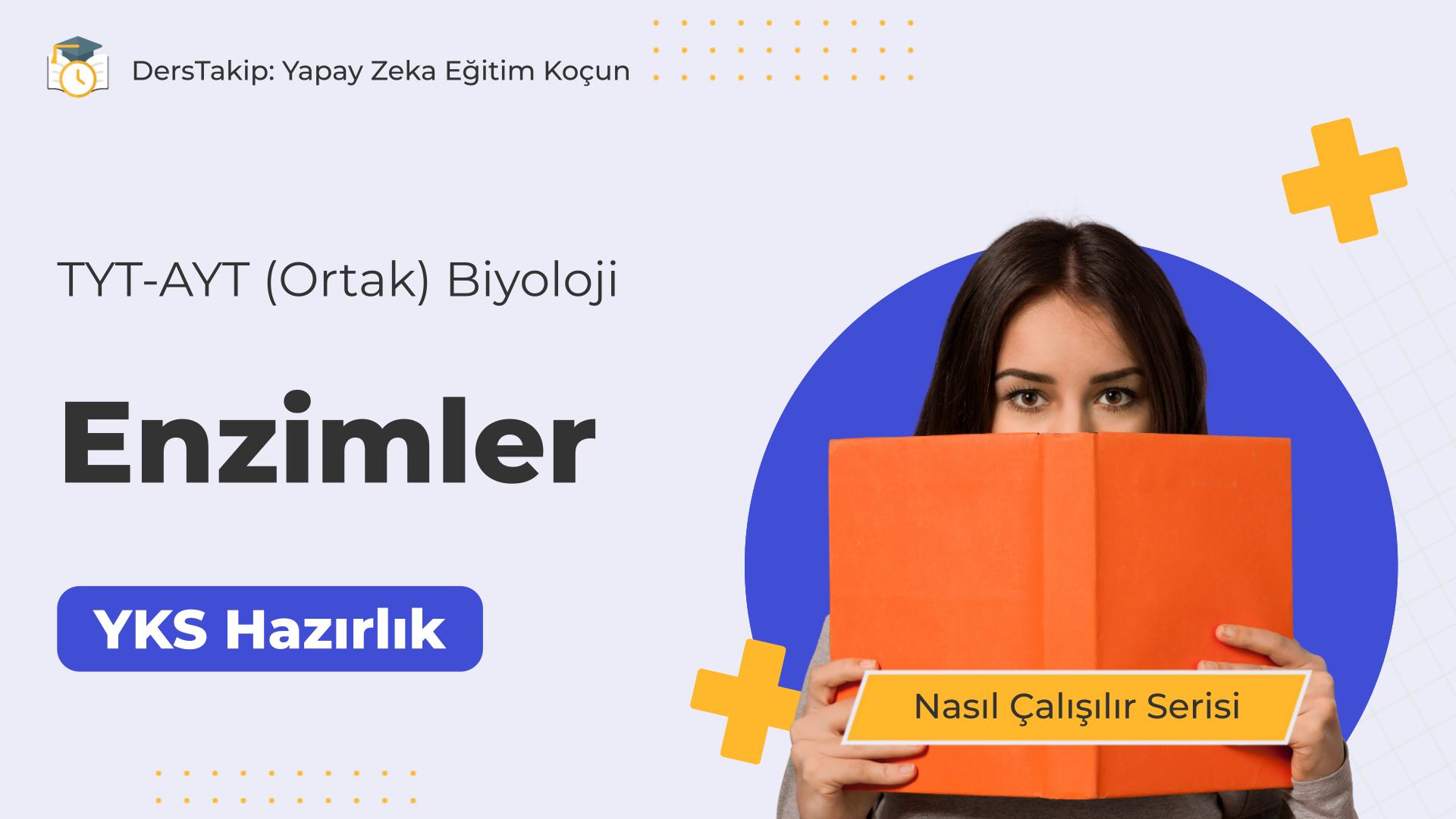 2025 YKS Çalışma Programı: Enzimler Konusunu Etkili Bir Şekilde Öğrenin