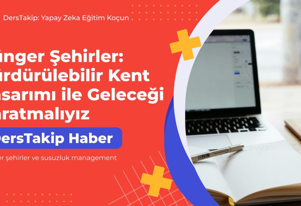 sünger şehirler ve susuzluk management