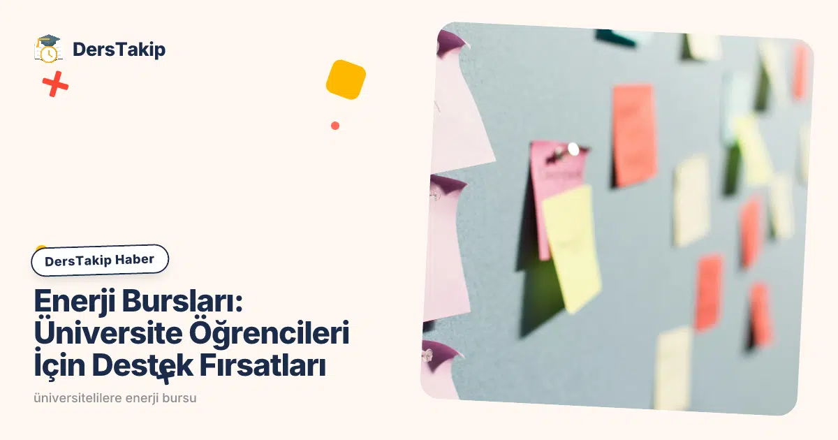 üniversitelilere enerji bursu