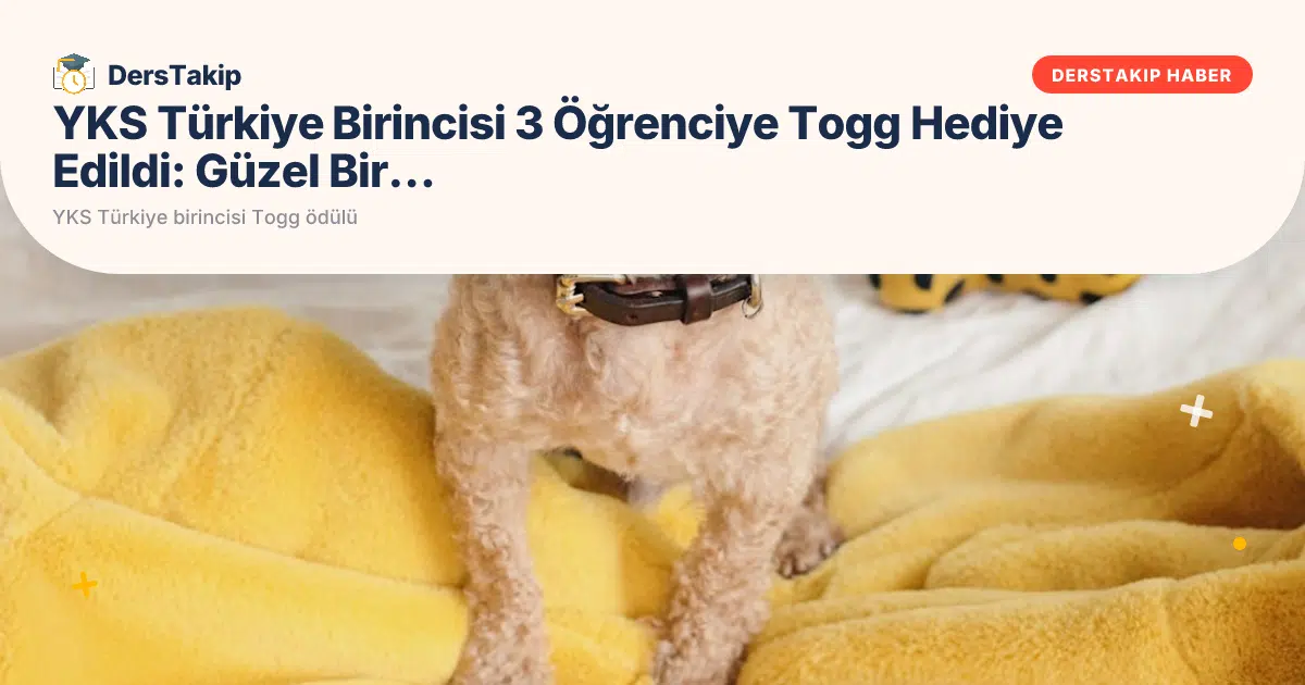 YKS Türkiye birincisi Togg ödülü